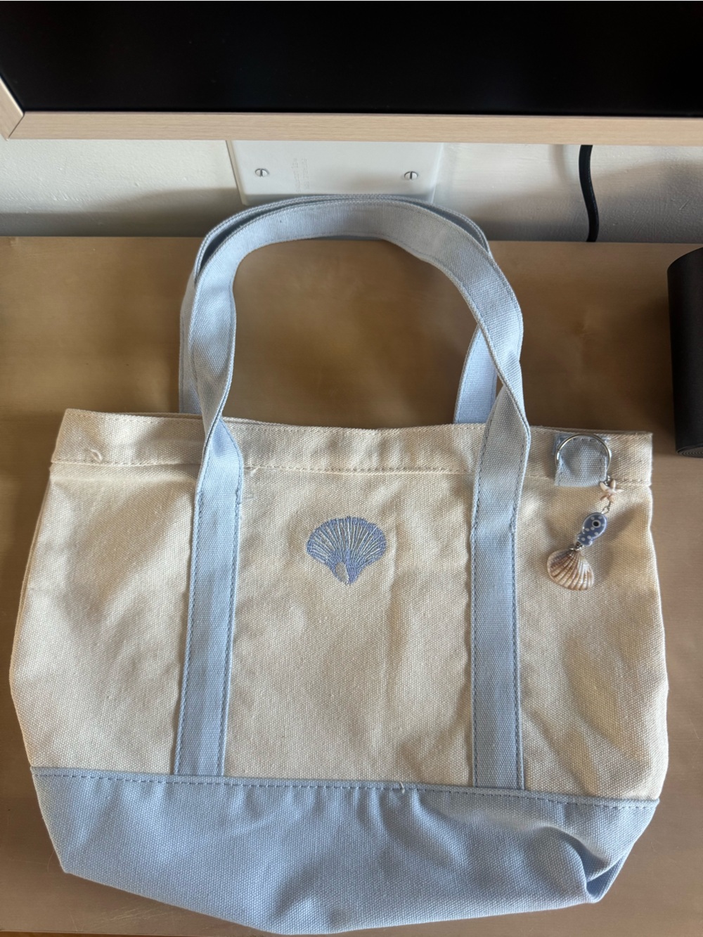 Canvas Shell Tote Bag in Light Blue and Cream